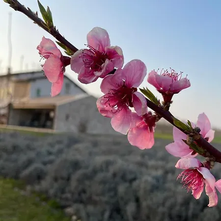 Redó Alloggio per agriturismo *