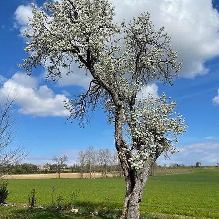 Redó Alloggio per agriturismo Ponti sul Mincio